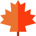 nature,birthday and party,plant,botanical,leaf,garden,maple leaf,autumn,maple syrup,fall,free fall